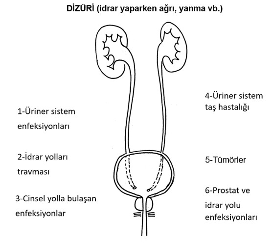 p 4 Resim1