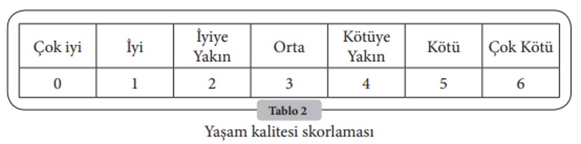Resim3